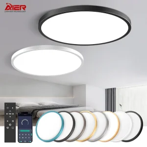 Modern Smart 24W-48W LED Ceiling Light Fixture