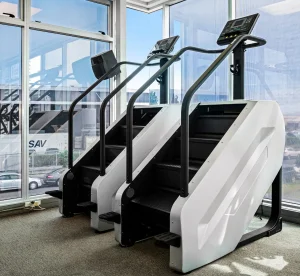 Tz-2040b Stair Climber / Stair Master for Commercial Gym Use