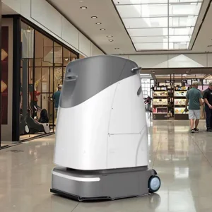 Commercial Floor Robot