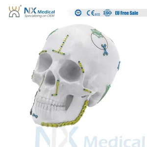 Maxillofacial Reconstruction Plate