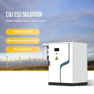50kW 100kWh Outdoor ESS Cabinet