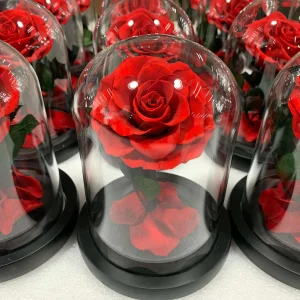 LED Light Preserved Roses