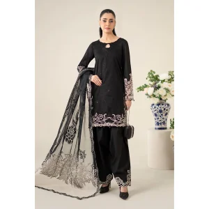Fashionable Womens Ethnic Dress