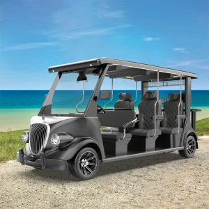 Best Brand 6 Seats Cool Buggy 48V 5kw Black Electric Golf Cart