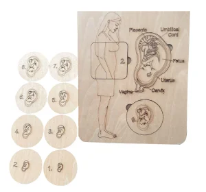 Wooden Body Parts Puzzle