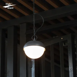 IP54 Waterproof Indoor And Outdoor Universal Decorative Lighting Ceiling Light For Garden, Courtyard
