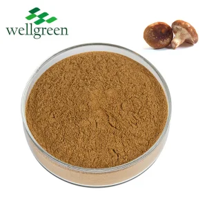 Suporte Imunológico Pó Bulk Ahcc Suplemento Herbal Extrato de Cogumelos Ahcc Pó Ahcc
