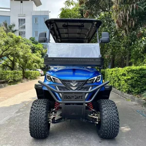 High Performance 10 and 14 Inch Road Tyres New Electric Golf Cart