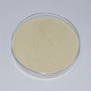 Notoginseng Extract