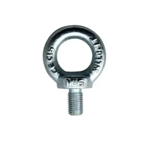 DIN580 Forged Eye Bolts