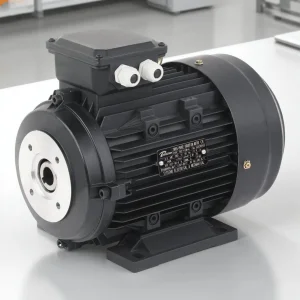 2.2kw 3kw 4kw 4.4kw 4.5kw 5kw 5.5kw 7.5kw 11kw 15kw 18.5kw Motor de Eje Hueco 2HP 3HP 4HP 5HP 7.5HP 10HP Tres Motores Eléctricos de Corriente Alterna
