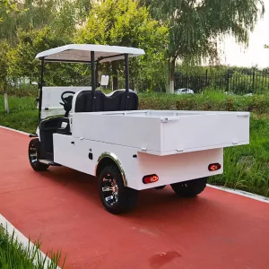 SEEWORLD Electric Golf Cart Cargo Box 2 Seater 3.5KW AC Motor 60V 100A Lead Acid Battery 30-50km/h Speed 70-90km Range CE