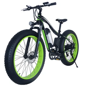 Snowfield Ebike