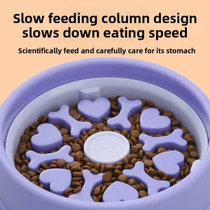 Cross-Border Dog Slow-Feeding Bowl