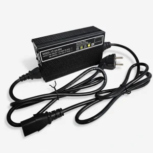 Professional Battery Charger