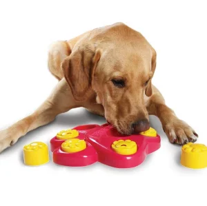 Factory Wholesale Plastic Food Seek Leaking Iq Training Pet Snack Treat Dispensing Stuffed Toy