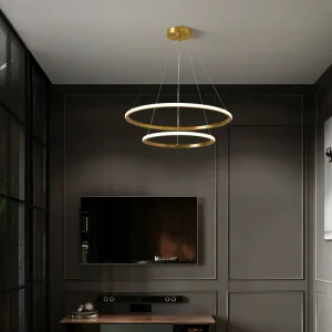 Wholesale Simple Design Home Decor Indoor Modern Decorative Style LED Round Suspended Pendant Lighting