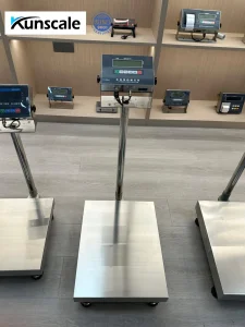 Explosion-Proof Platform Scale