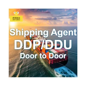 DDP FCL Freight Forwarder Logistics Service China to India