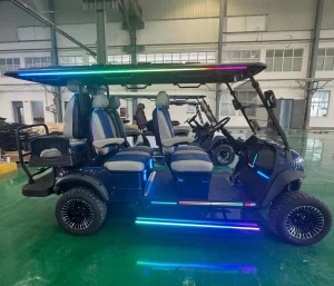 Equipamento de Golfe Baterias de Lítio