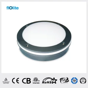 Bulkhead Light