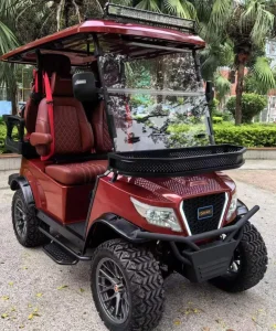2024 New Design Golf Cart