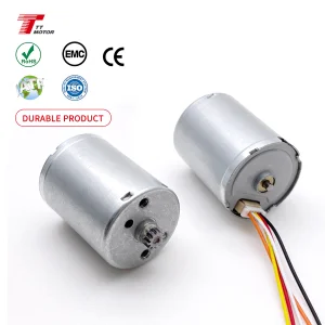 Customization 6v 12v 24mm Small Micro Brushless Motor High Torque  Low Voltage DC Electric Motor