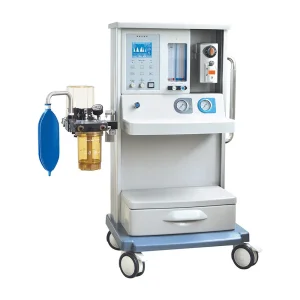 Ltsa12
