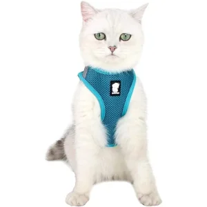 Arnés para gatos con correa suave