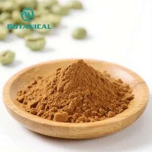 High-Quality Green Coffee Bean Extract