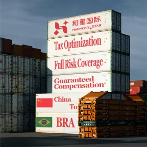 DG Container Freight Forwarder FCL Shipping
