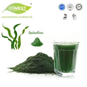 Greens Superfood Green Energy Drink