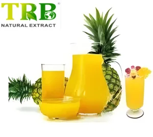 China Pineapple Juice Powder