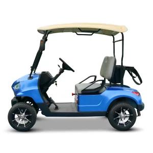 48V Lead Acid Battery Electric 2 Seater Golf Cart