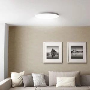 Customized Dimmable LED Ceiling Light