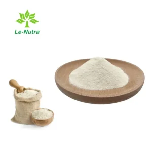 Hydrolyzed Rice Protein