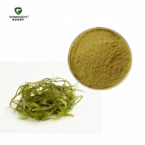 Cosmetic Grade Seaweed Extract Powder 10:1 Natural Marine Plant Concentrate for Skin Care and Personal Care Use