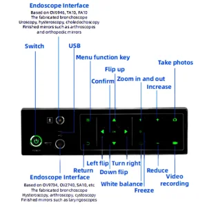 Multifunctional Endoscope