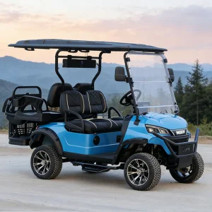 Top China Factory Comfort Independent Suspension Golf Cart