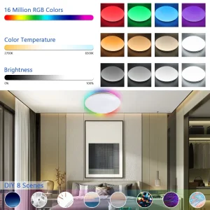 Energy Saving 20W WiFi Voice Control RGB Smart LED Ceiling Light