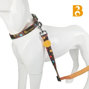 Fashion Dog Leads