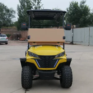 Custom Stable Efficient High Speed Electric Golf Cart for Four
