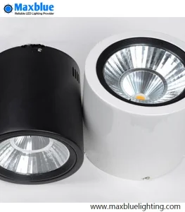 Surface Mounted LED Ceiling Downlight