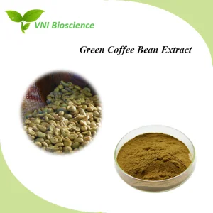 Extrato de Grão de Café Verde Natural com Ácido Clorogênico Certificado Kosher
