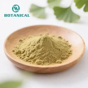 OEM Natural Ginkgo Biloba Leaf Extract Powder