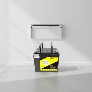 Long Life Deep Cycle Battery Pack 12V 50Ah LiFePO4 With LCD 3000 Cycles for RV Off Grid Solar Power Use