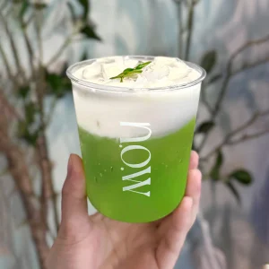6oz 8oz 12oz 14oz 100% Compostable PLA Plastic Cup