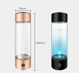 Digital LED Temperature Display Double Wall Glass Smart Water Bottle with Filter