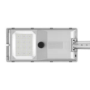 Color Changing Festive Decorative Solar Light for Holiday Season Decor