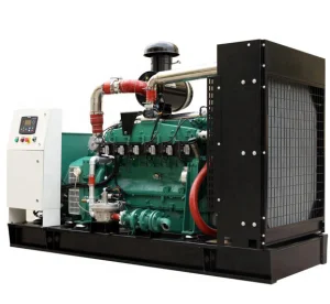 Biogas Power Plant